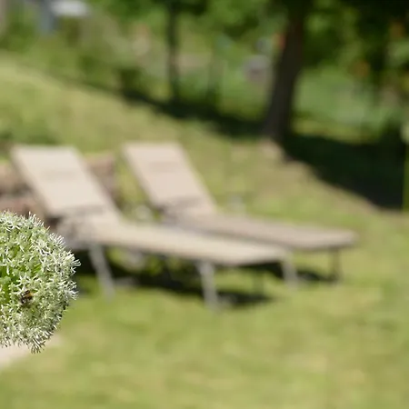 Apartman Am Bellachini *