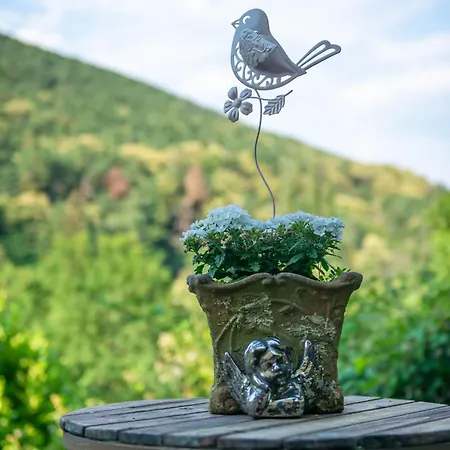 公寓 Am Bellachini 圣马丁