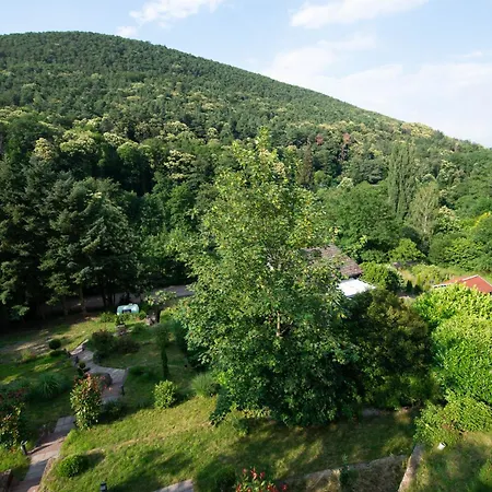 Apartman Am Bellachini Sankt Martin