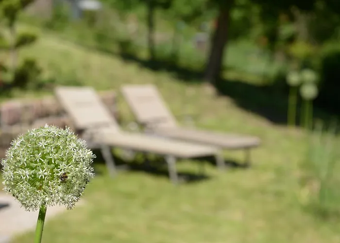 Apartamento Am Bellachini *