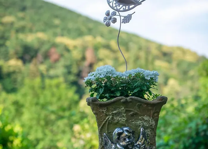 公寓 Am Bellachini 圣马丁