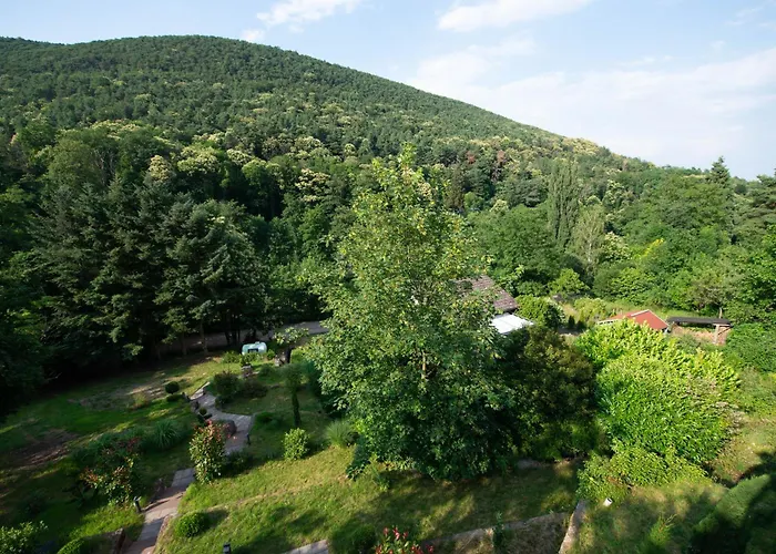 Apartamento Am Bellachini Sankt Martin